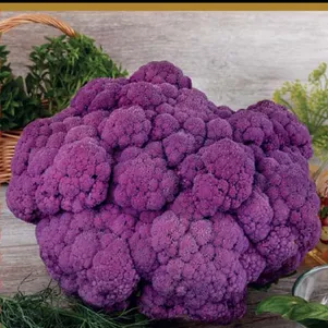 Цветная капуста Мечта огородника 01 г Семена Поиск 54₽