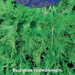 

Японская капуста Изумрудный узор (А) 0,5 г, Семена Поиск