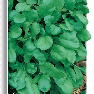 Кресс-салат Дукат 1 г Семена Поиск 49₽