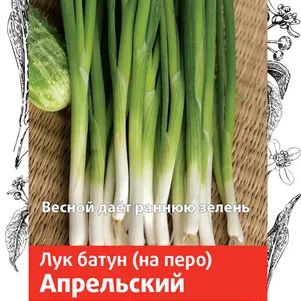 Лук Батун Апрельский 1 г, Семена Поиск