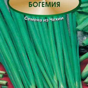 

Лук Шнитт Богемия 0,5 г, Семена Поиск