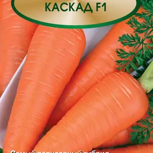Морковь Каскад F1 05г Семена Поиск 66₽
