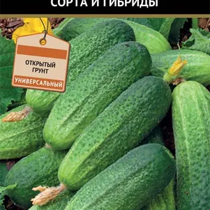 

Огурец Аристократ F1 12 шт, Семена Поиск