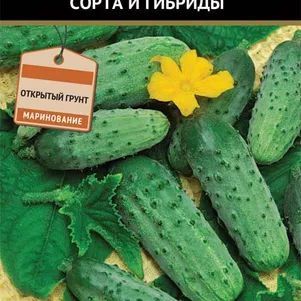 Огурец ДАртаньян F1 12 шт Семена Поиск 54₽