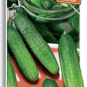 Огурец Изящный 15 шт Семена Поиск 49₽