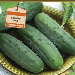 Огурец Кустовой 15 шт Семена Поиск 49₽