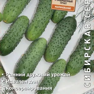 Огурец Хрустящий король F1 12 шт Семена Поиск 62₽