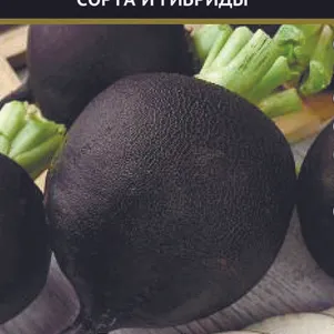 Редька Ночка 2 г Семена Поиск 51₽