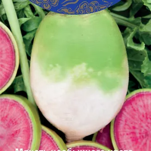 Редька китайская Мисато Пинк сер Восточный деликатес 1 г Семена Поиск 54₽