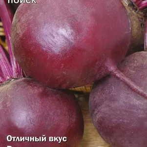 Свекла Бордовая звезда столовая 3 г, Семена Поиск