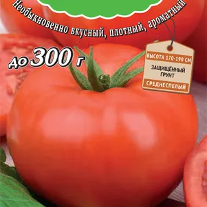 

Томат Румяный шар F1 (сер. Вкуснотека) 10 шт, Семена Поиск