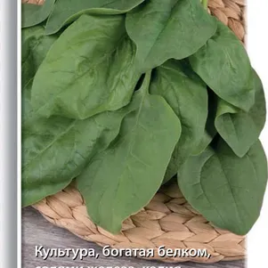 Шпинат Матадор цп 3 г Семена Поиск 49₽