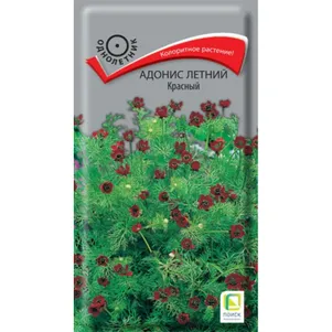 Адонис летний Красный ц/п 0,3 г, Семена Поиск