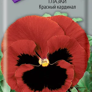 Анютины глазки Красный кардинал 0,2 г, Семена Поиск