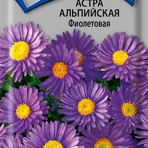 

Астра альпийская Фиолетовая 0,04, Поиск