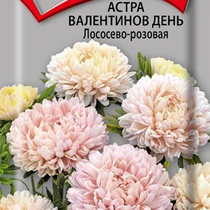 

Астра Валентинов день Лососево-розовая 0,2 г, Семена Поиск