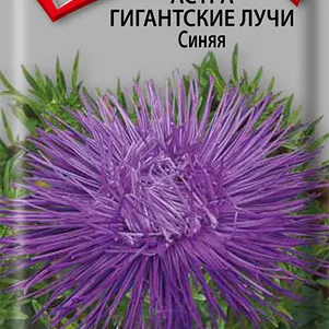 

Астра Гигантские лучи Синяя 0,3 г, Семена Поиск