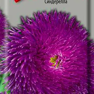 Астра игл Синдерелла 0,2 г, Семена Поиск