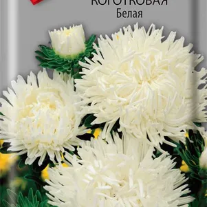 

Астра коготковая Белая 0,3 г, Семена Поиск