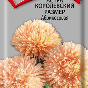 

Астра Королевский размер Абрикосовая 0,1 г, Семена Поиск