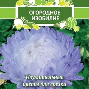 

Астра пионовидная Голубка сизая 0,3 г, Семена Поиск