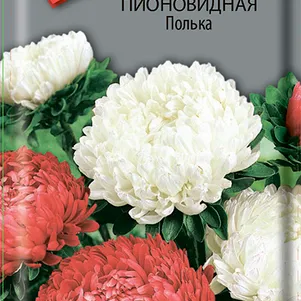 

Астра пионовидная Полька 0,3 г, Семена Поиск