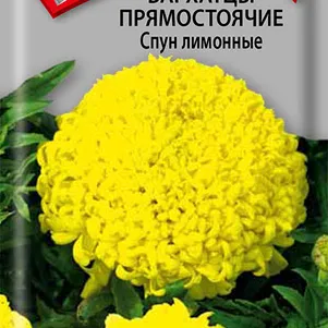 

Бархатцы Спун лимонные прямостоячие 0,1 г, Семена Поиск