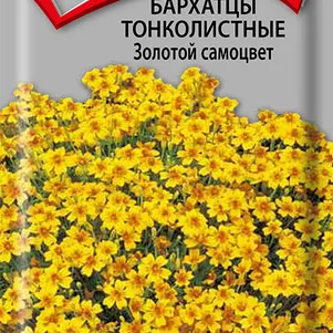 Бархатцы Золотой самоцвет тонколистные 0,1 г, Семена Поиск