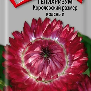 

Гелихризум Королевский размер Красный 0,1 г,Семена Поиск