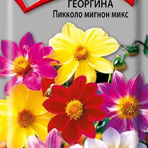 

Георгина Пикколо Мигнон Микс 0,3 г, Семена Поиск
