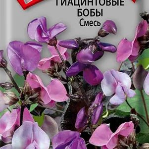 Гиацинтовые бобы Смесь 1 г, Семена Поиск