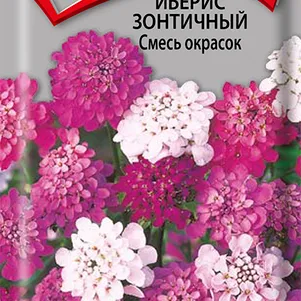 Иберис зонтичный Смесь окрасок 0,5 г, Семена Поиск