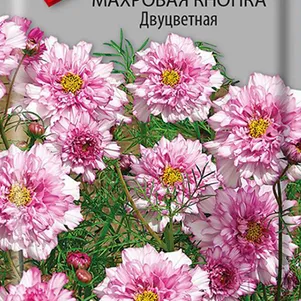 

Космея Махровая кнопка Двуцветная 0,1 г, Семена Поиск