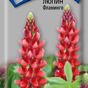 Люпин Фламинго 1 г, Семена Поиск