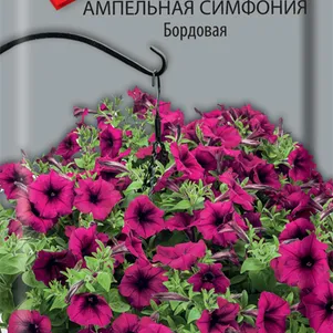 Петуния Симфония Бордовая ампельная 0,01 г, Семена Поиск