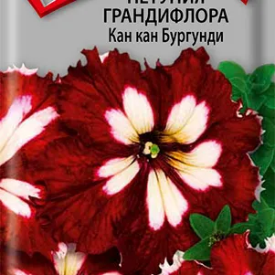 Петуния Кан Кан Бургунди грандифлора 10 шт Семена Поиск 150₽