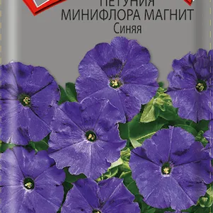 Петуния Магнит Синяя минифлора 10 Семена Поиск 23₽