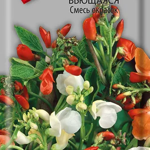 Фасоль вьющаяся Смесь окрасок 5 шт Семена Поиск 96₽