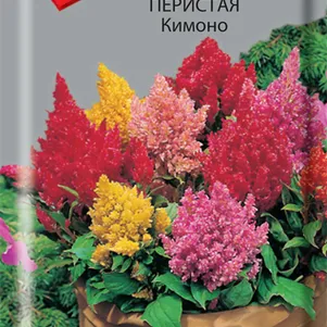 

Целозия Кимоно перистая 0,1 г, Семена Поиск