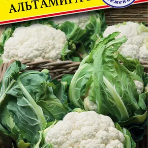 Цветная капуста Альтамира F1 7 шт Семена Престиж 67₽