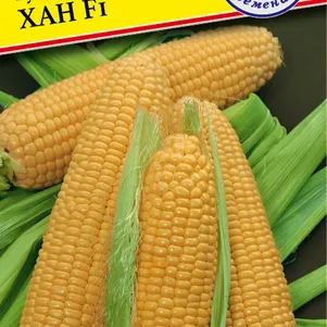 Кукуруза Хан F1 сладкая 10 шт Семена Престиж 50₽