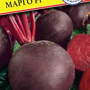 

Свекла Марго столовая 1 гр, Семена Престиж