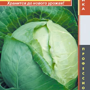 Капуста Харрикейн F1 белокочанная 10 шт Плазменные семена 39₽