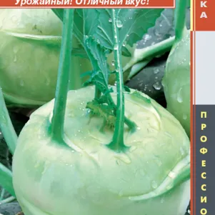 Кольраби Коссак F1 10 шт Плазменные семена 84₽