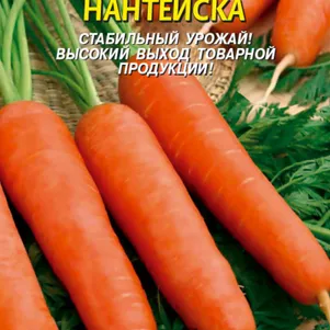 Морковь Нантейска 2 г Плазменные семена 39₽