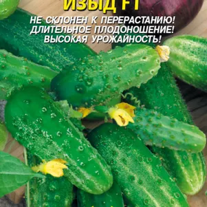 Огурец Изыд F1 12 шт Плазменные семена 39₽