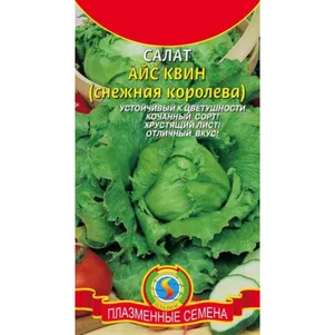 Салат Айс Квин Снежная королева 05 г Плазменные семена 39₽