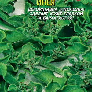 Иней (Хрустальная травка) 0,02 г, Плазменные семена