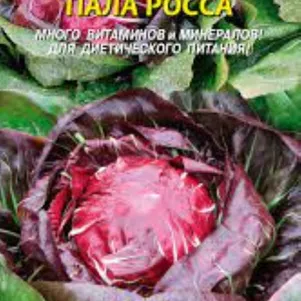 Цикорий Пала Росса салатный 0,2 г, Плазменные семена