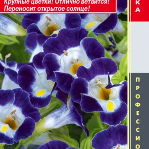 Торения Блю энд Вайт серия Hi Lite 4 шт Плазменные семена 69₽